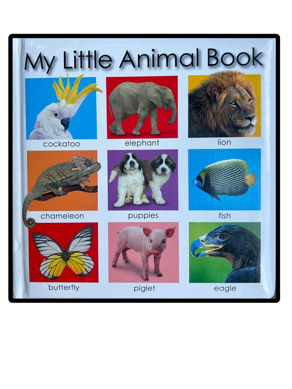 BUNDLE & SAVE🎉 Priddy Books My Little Animal Padded Board Book